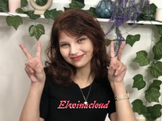 Elwinacloud