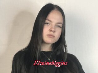 Elwinehiggins