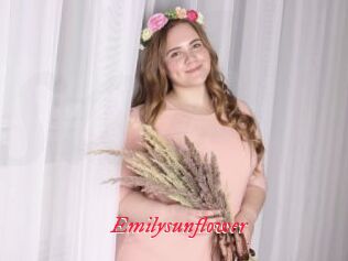 Emilysunflower