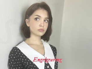 Engelgearing