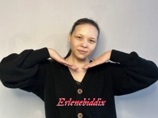 Erlenebiddix