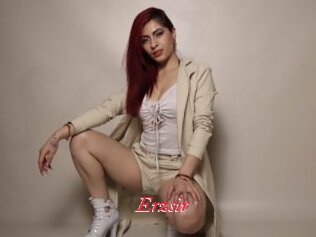 Erzsir