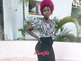 Eunifix