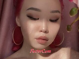 FactorCam