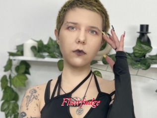 Flairfudge