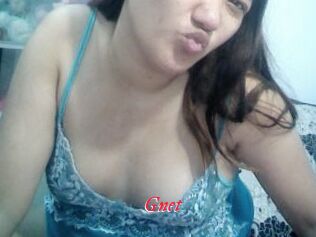 Gnet