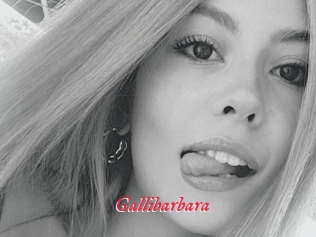 Gallibarbara