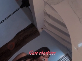 Gate_charlotee