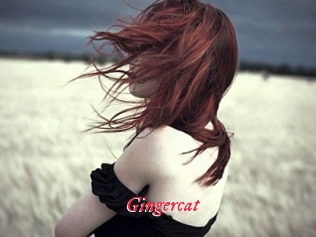 Gingercat