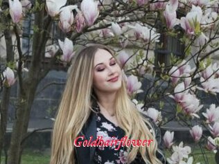 Goldhairflower