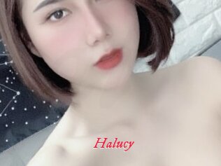 Halucy