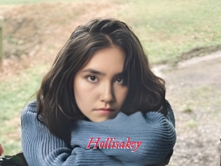 Hollisakey