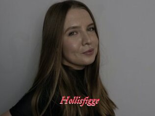 Hollisfigge
