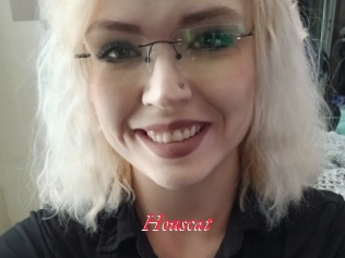 Houscat