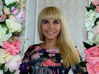 InBloom
