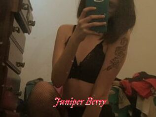 Juniper_Berry