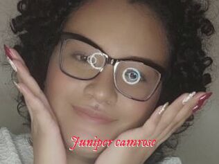 Juniper_camrose
