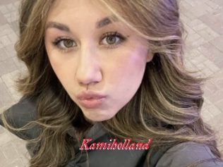 Kamiholland
