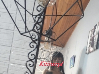 Kitiiwe3d