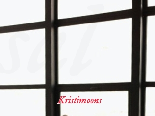 Kristimoons
