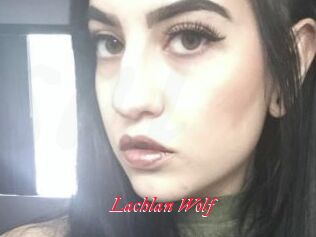 Lachlan_Wolf
