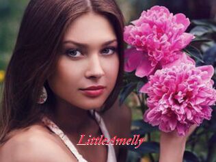 LittleAmelly
