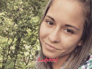 Ladybird