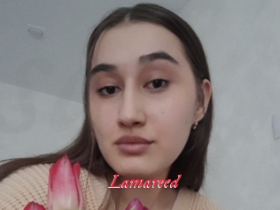 Lamareed