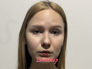 Leilaheap