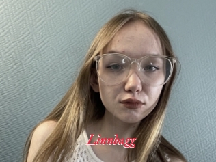 Linnbagg
