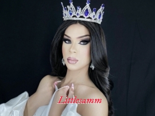 Littlesamm