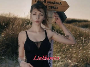 Lizhkamics