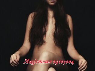 Magicmouse-09105004