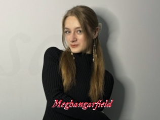 Meghangarfield