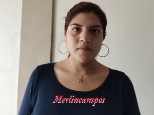 Merlincampos
