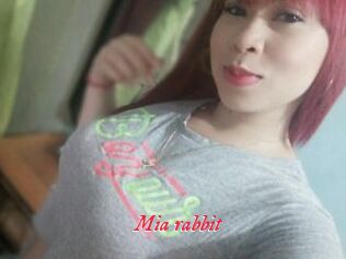 Mia_rabbit