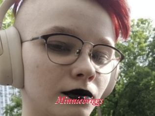 Minniebriggs