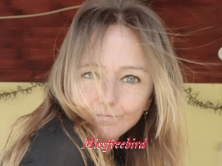 Missfreebird