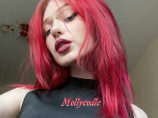 Mollycodle