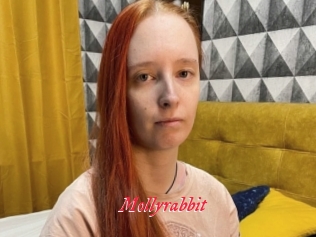 Mollyrabbit