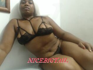 NICEBIGTAIL