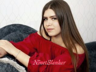 NinetBlankar