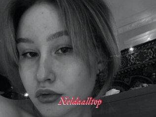 Neldaalltop