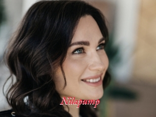Nilapump