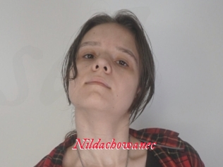 Nildachowanec