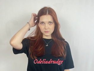 Odeliadrudge