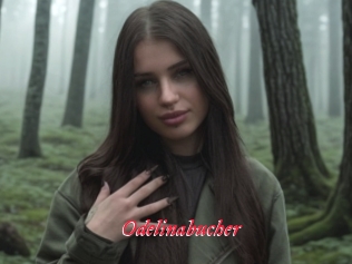 Odelinabucher