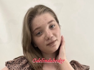 Odelindahedge