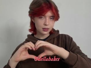 Odellahakes