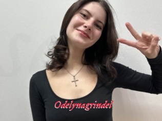 Odelynagrindel